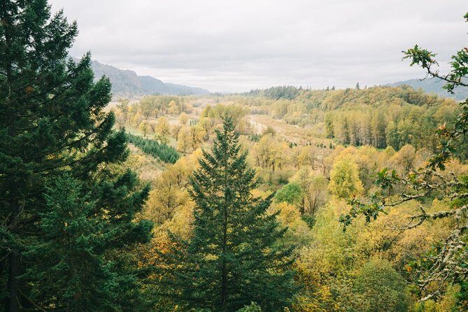 Afternoon Half-Day Multnomah Falls and Columbia River Gorge Waterfalls Tour from Portland - Pacing and walking: what your feet need to handle