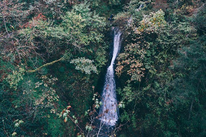 Afternoon Multnomah Falls and Gorge Waterfalls Tour - Multnomah Falls: the main event, with timing that matters