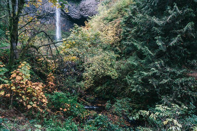 Afternoon Multnomah Falls and Gorge Waterfalls Tour - The Gorge story you get on the ride between stops