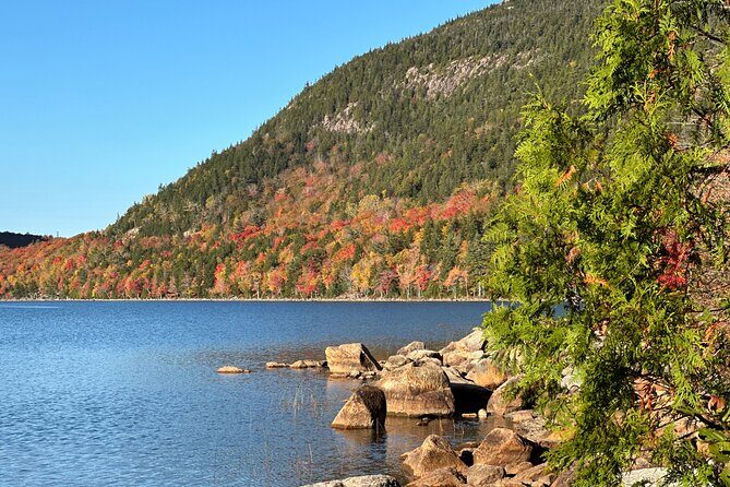 Bar Harbor and Acadia Full Day Private Tour from Portland - Bar Harbor: two hours for lunch and easy walking