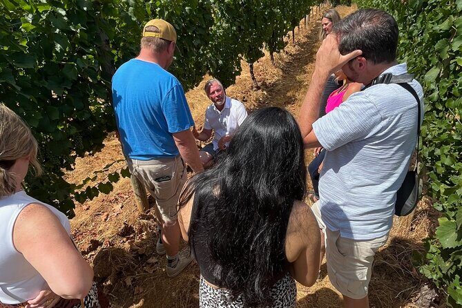 Bed and Breakfast Wine Tour - Small Group, Joinable/Sharable - Price and Logistics: What $230 Really Buys You