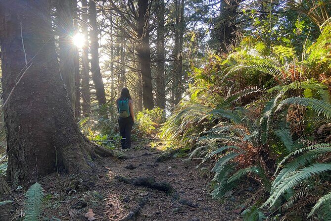 Cannon Beach Hiking Tour on the Oregon Coast - Why This Cannon Beach Day Trip Feels Better Than DIY