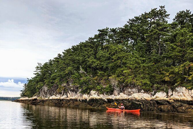 Casco Bay Half-Day Sea Kayak Tour - Where You Launch From: Portland’s East End and a Smooth Gear Fit