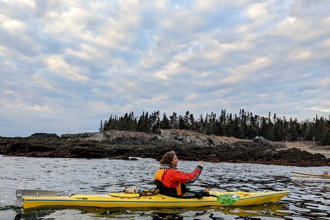 Casco Bay Half-Day Sea Kayak Tour - How Long It Really Takes and What Pace Feels Like