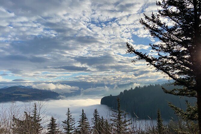 Columbia Gorge Scenic Bikeway full day ride - The ride plan: 35 or 60 miles with van help when you need it