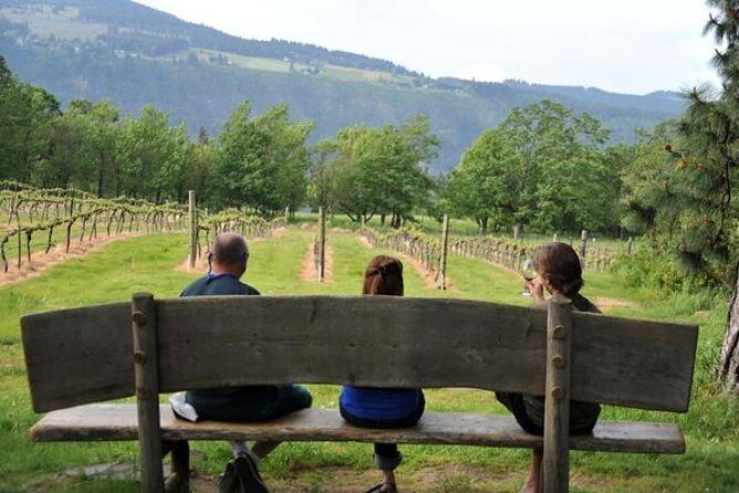 Columbia Gorge Waterfalls & Wineries from Portland: All-Inclusive Afternoon Tour - The Small-Group Van Plan: Comfort, Snacks, and Pacing