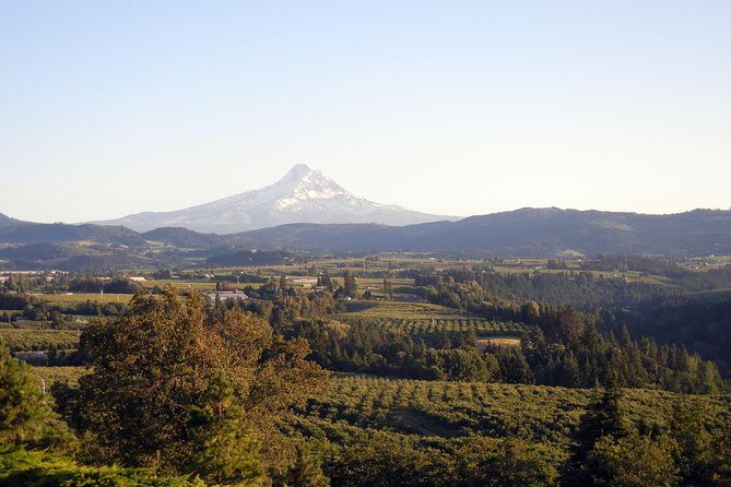 Columbia River Gorge Waterfalls & Mt Hood Tour from Portland, OR - The Fruit Loop Orchards and Lavender Farms Stretch
