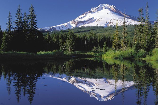 Columbia River Gorge Waterfalls & Mt Hood Tour from Portland, OR - Getting Started at Director Park (8:30 AM): Timing That Avoids Chaos