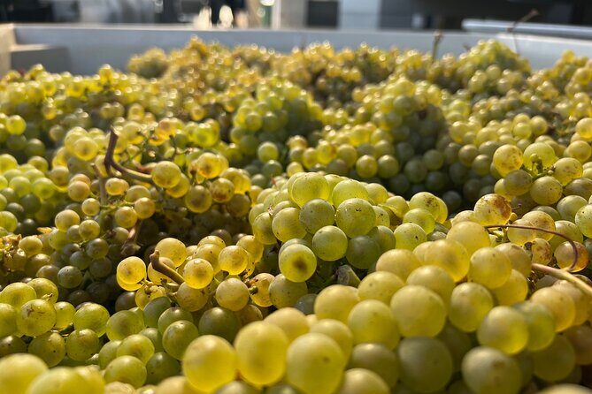 Custom Willamette Valley Wine Tours from The Allison Inn and Spa - Quick hits for your Willamette Valley day