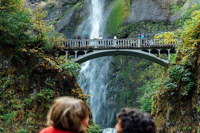 Explore Columbia River Gorge Half-Day Small-Group Tour - Latourell Falls and Shepperd’s Dell: Short Walks, Big Personality