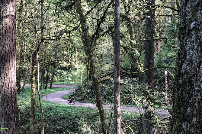Forest Park Carbon Gravel Bike and E-Bike Tour - Meet at Cycle Portland and get oriented for a 3.5-hour ride