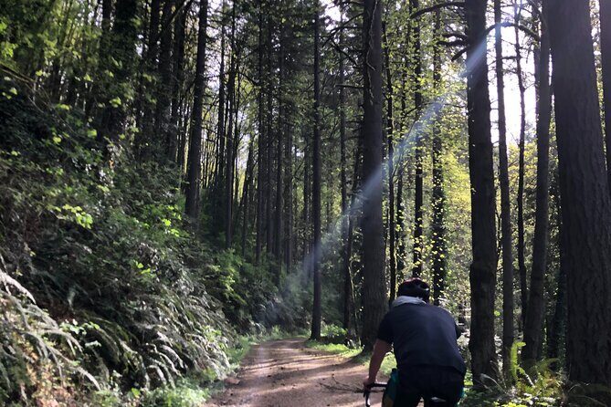 Forest Park Carbon Gravel Bike and E-Bike Tour - Leif Erikson Trail: the fast gravel that makes you want to keep going