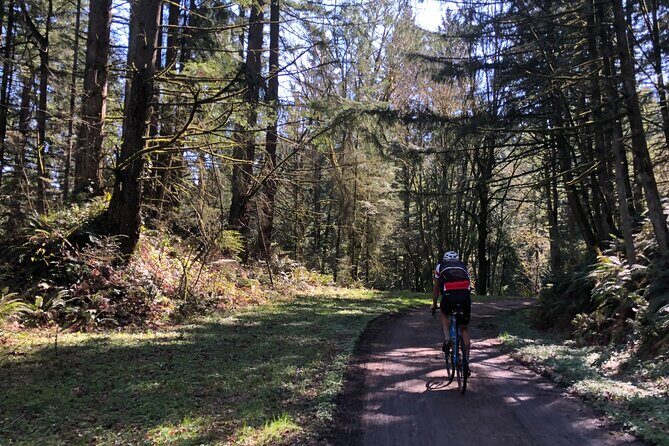 Forest Park Carbon Gravel Bike and E-Bike Tour - Who this tour suits best (and who might want another option)