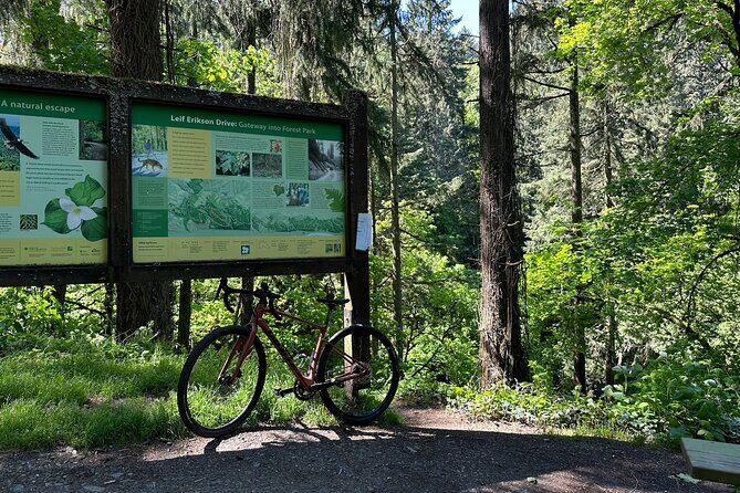 Forest Park Carbon Gravel Bike and E-Bike Tour - Up to Forest Park: choose carbon gravel or the battery-assisted climb