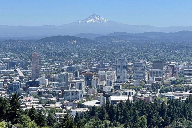 Forest Park Hiking Tour to Pittock Mansion - Forest Park’s big trees and easy-to-follow walking