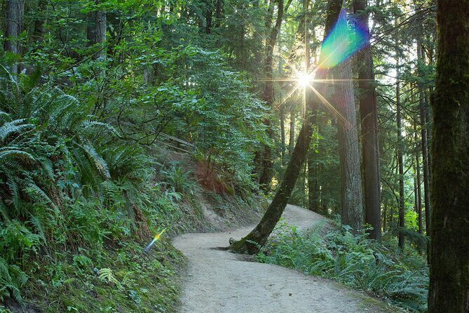 Forest Park Hiking Tour to Pittock Mansion - Wildwood Trail time: the long trail without the long slog