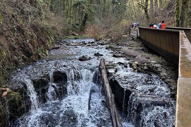 Forest Park Hiking Tour to Pittock Mansion - Meeting at Lower Macleay Park: the easy start