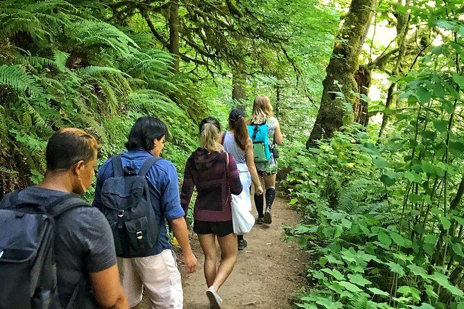 Forest Park Urban Hiking Tour, Portland - Forest Park entry and the Wildwood Trail climb