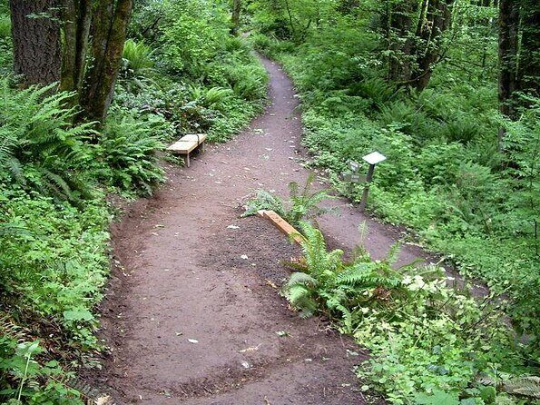 Forest Park Urban Hiking Tour, Portland - Meeting at NW Thurman St: getting there and what to wear