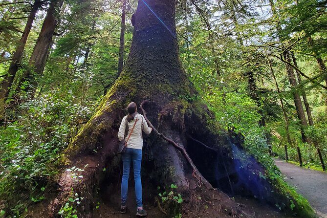 Full-Day Guided Oregon Coast Tour from Portland - Stop 2: Indian Beach and a short rainforest walk (when the timing fits)