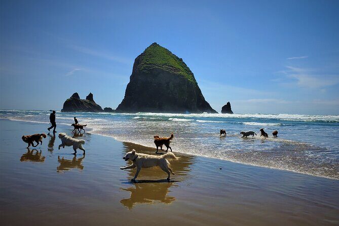 Full-Day Guided Oregon Coast Tour from Portland - Stop 5: Hug Point State Park vs Oswald West State Park