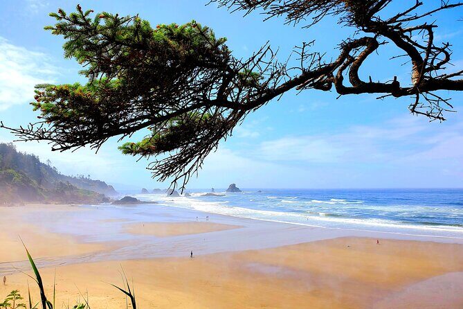 Full-Day Guided Oregon Coast Tour from Portland - Stop 6: Neahkahnie Mountain viewpoint on the way back