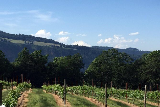 Full-Day Mt Hood Waterfall Tour with Lunch and Wine Included - Columbia Gorge National Scenic Area: short stops with big context