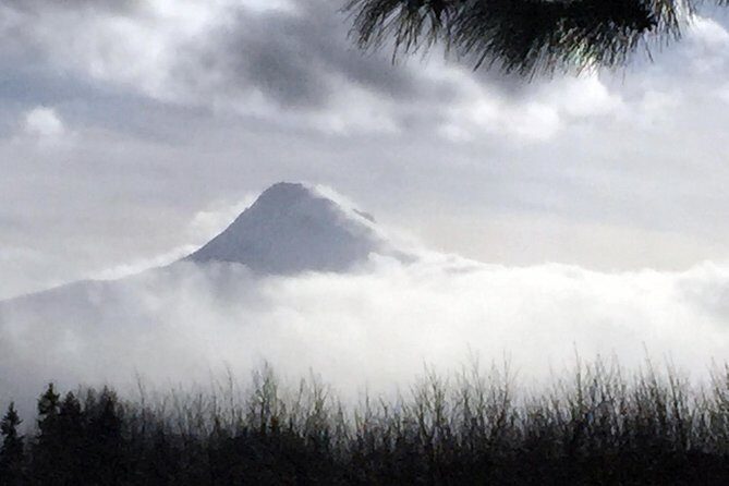 Full-Day Mt Hood Waterfall Tour with Lunch and Wine Included - Sandy River crossing: the geology and salmon story behind the drive