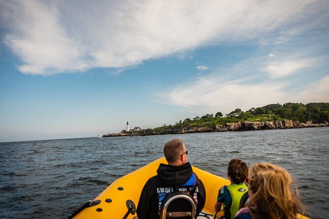 Guided RIB Boat Adventure of Portland - Value: why free stop admission plus guided spotting is a smart combo