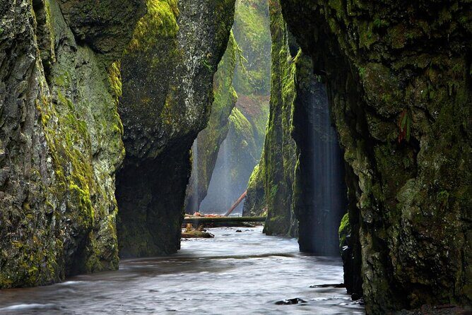 Half Day Columbia River Gorge Waterfalls Tour - Stop-by-stop: Vista House and Latourell Falls