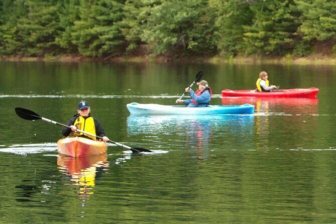 Half Day Kayak Rental on Sebago Lake - Price and Value: How $44 Fits a Half-Day Kayak Day