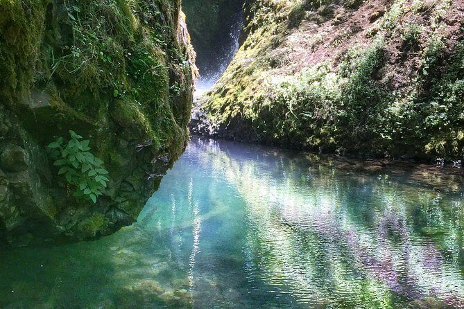 Hike and Bike Tour to Columbia River Gorge Waterfalls - The van ride sets the tone for the bike day