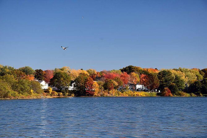 Maine Fall Foliage Private Lobster Boat Cruise with Local Drinks - Weather and timing: how to avoid a fall foliage disappointment