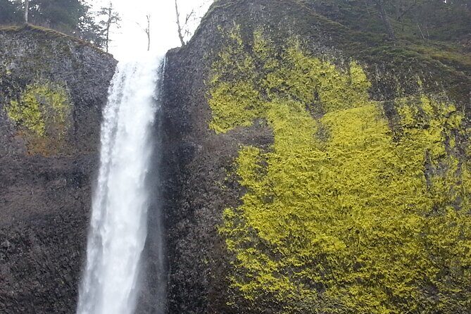 Morning Multnomah Falls and Gorge Waterfalls Tour - Latourell Falls: 249-foot drama, basalt columns, and the mist you can feel