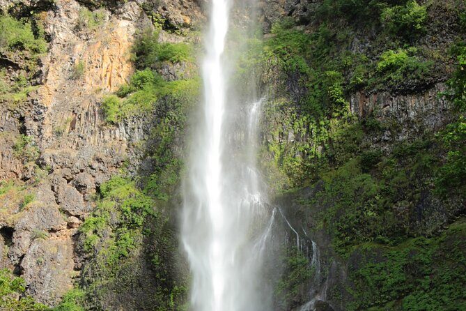 Morning Multnomah Falls and Gorge Waterfalls Tour - Timing, walking level, and what to pack for a cool Gorge morning