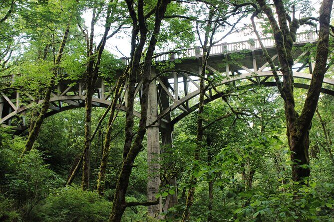 Morning Multnomah Falls and Gorge Waterfalls Tour - Who should book this Multnomah Falls and Gorge waterfalls tour
