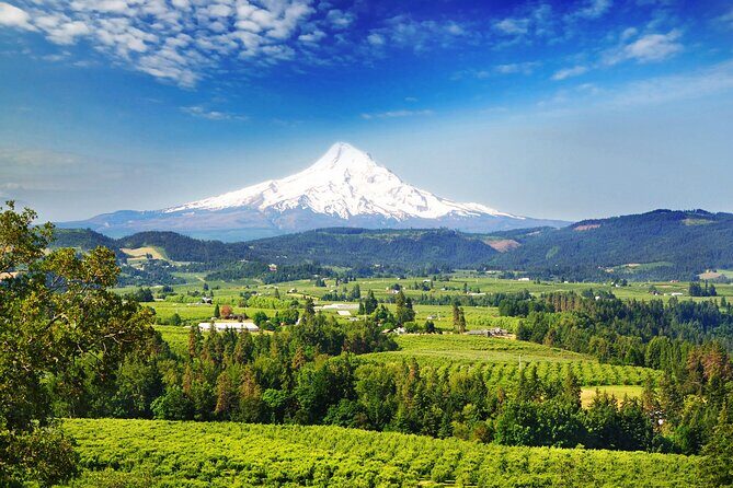 Mount Hood Loop Scenic Drive Self Guided Audio Tour - Key Highlights Worth Your Time
