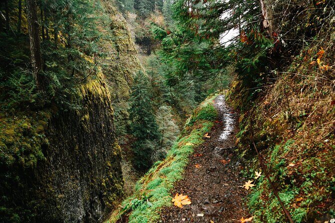 Mount Hood Loop Scenic Drive Self Guided Audio Tour - Should You Book This Mount Hood Loop Self-Guided Audio Tour?