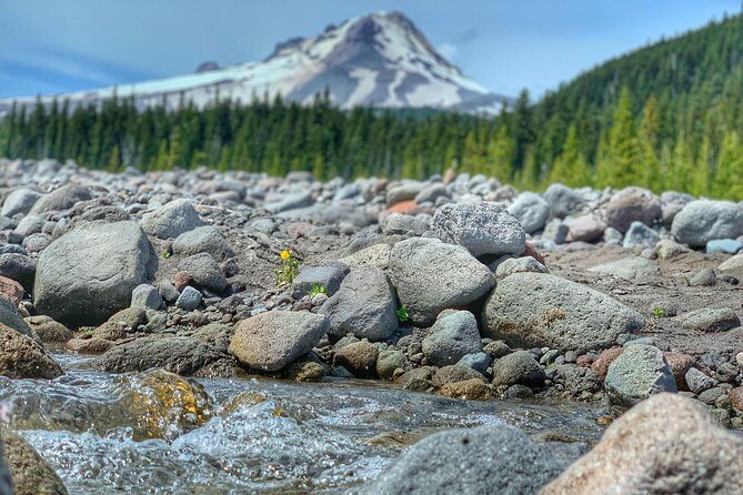 Mt Hood Day Trip from Portland to Multnomah Falls and Hood River - Timberline Lodge on Mt Hood: history, snow vibes, and a fast walk at altitude