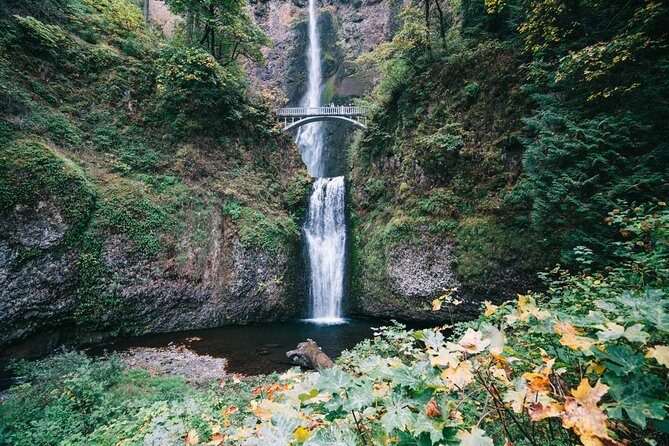 Mt Hood, Waterfalls, and Wine Tour - Price and Value: What $147.25 Buys You (and What It Doesn’t)