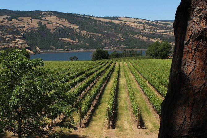 Mt Hood, Waterfalls, and Wine Tour - Columbia River Gorge Quick Hits: Portland Women’s Forum and Vista House