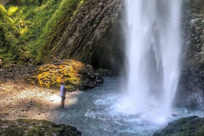 Multnomah Falls and Columbia River Gorge Half-Day Hiking Tour - Latourell Falls: basalt, lichens, and an easy trail choice