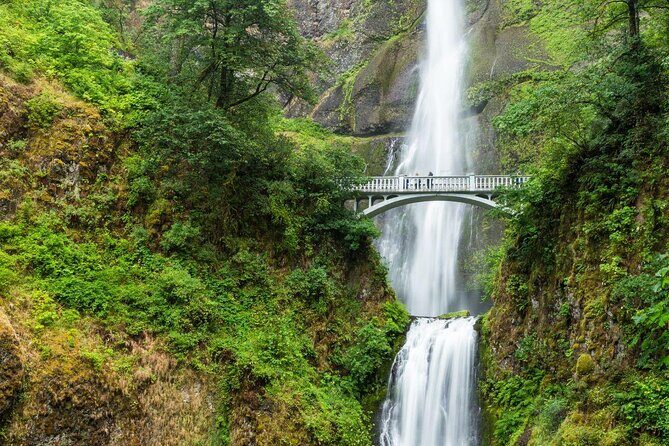 Multnomah Falls E-Bike Waterfall Tour (2+ Hours) - Key highlights you’ll actually feel on this tour