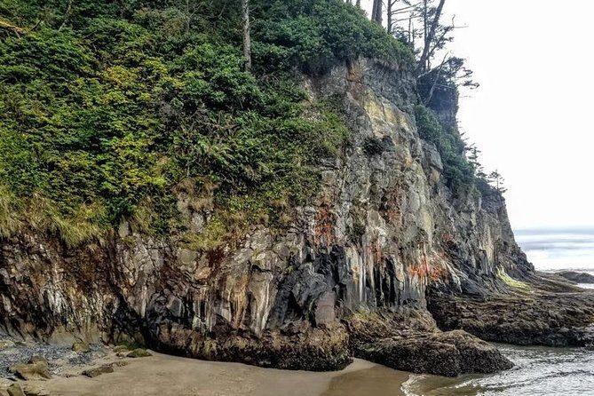 Oregon Coast Tour and Wine Tasting From Portland- Full Day Tour - Oswald West State Park: a green forest walk to the beach