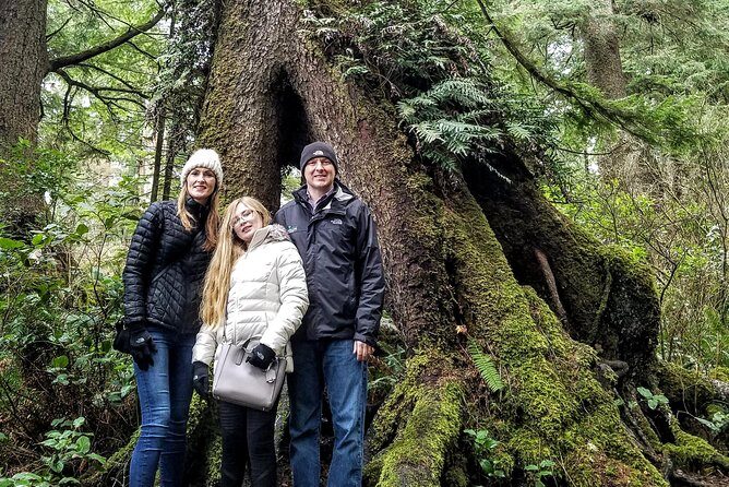 Oregon Coast Tour and Wine Tasting From Portland- Full Day Tour - Manzanita Point outlooks: Oregon’s big cliff views