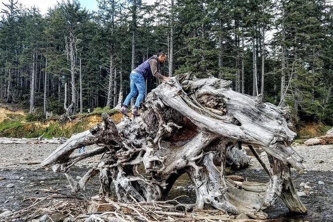 Oregon Coast Tour and Wine Tasting From Portland- Full Day Tour - Wine tasting during the coast drive: pairing the coast with a pour