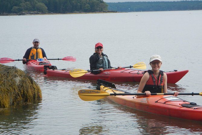 Oyster Farm & Complimentary Tasting Sea Kayak Tour in Casco Bay - Wildlife spotting and working-boat life (yes, it’s part of the story)