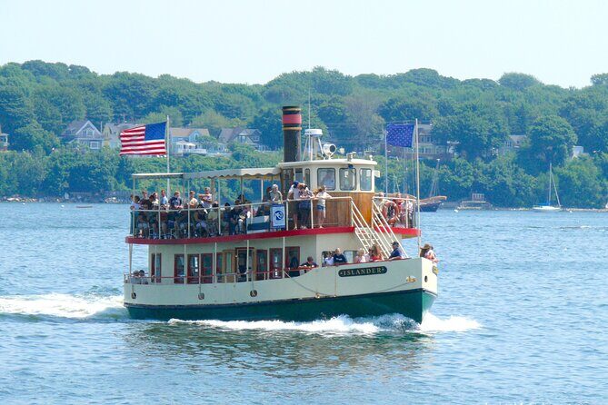 Port City Lights Cruise - Wildlife on the Water: Seals, Seabirds, and Being Flexible