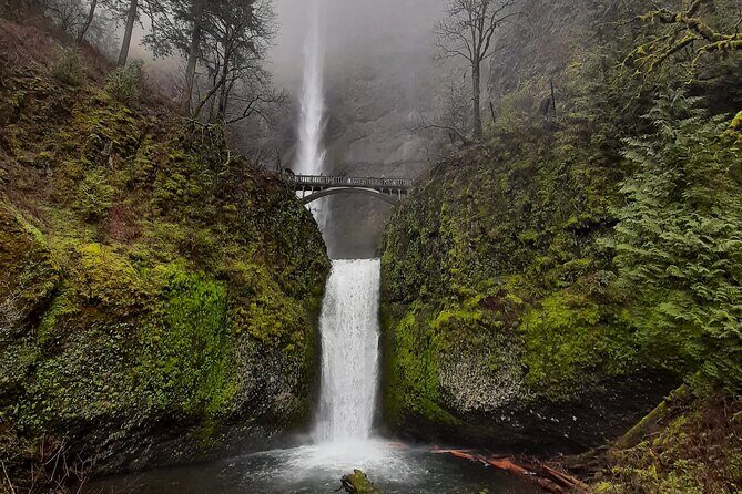 Portland City & Columbia Gorge Waterfalls: Our two best tours! - Mount Tabor Park: the east-side perspective from the hills