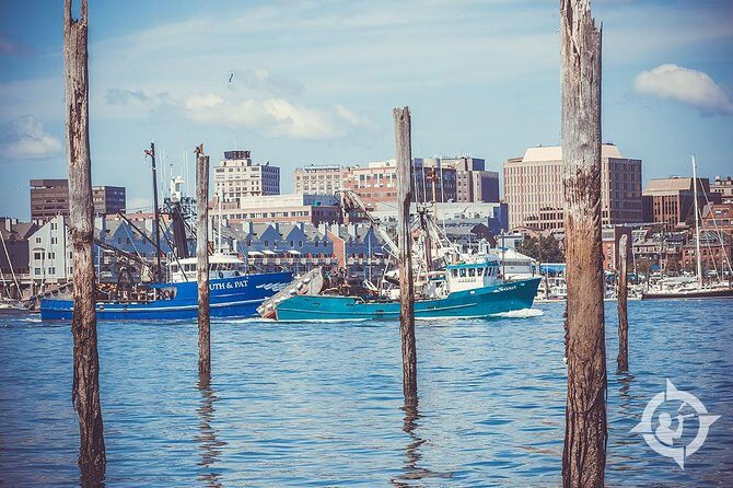 Portland Explorer | Maine History, Culture, & 3 Lighthouses Tour - The Van Ride: Ford Transit Comfort Through Portland’s Working Waterfront